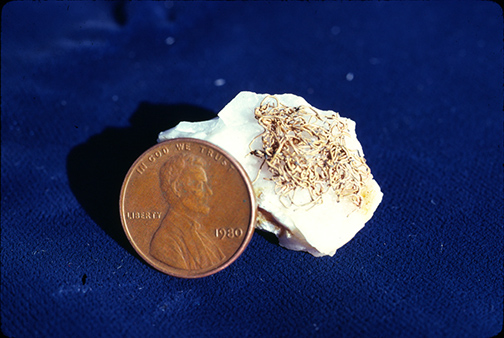 %_tempFileNameAu_ColumbiaCA%