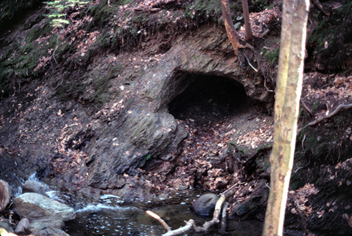 %_tempFileNameArsenopyriteX2_CobaltCTCrop%