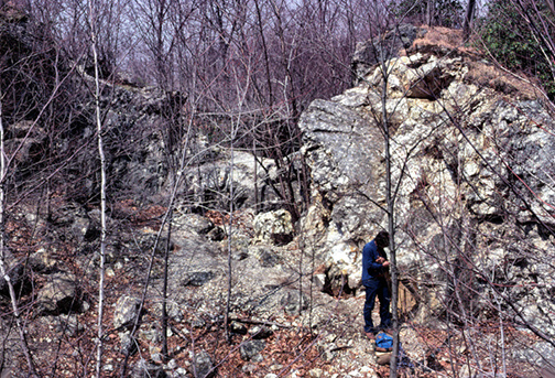 %_tempFileNameCaptCookeQuarryCTCrop%