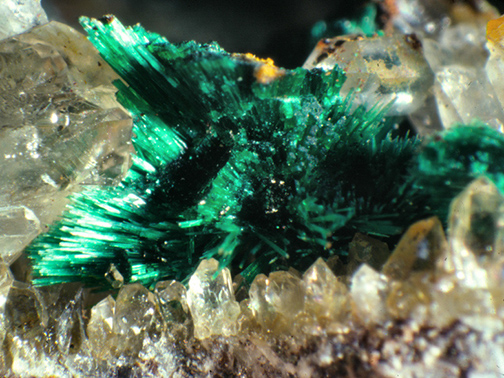%_tempFileNameMalachite2_NewBritainCTCrop%