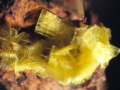 %_tempFileNameMeta-Autunite_BranchvilleCTCrop%