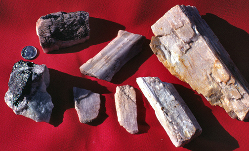 %_tempFileNameSpodumene_StricklandQuarryCTCrop%