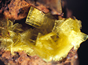 %_tempFileNameMeta-Autunite_BranchvilleCTCrop%
