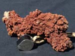F028_Coprolite_Morocco