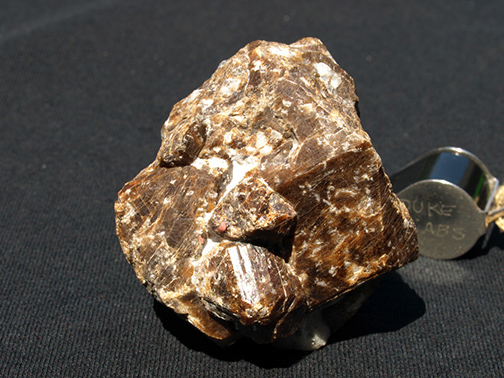 %_tempFileName0247_Garnet_Franklin_NJ%