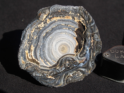 %_tempFileName0564_Chalcedony_RioGrandeDuSol_Brazil%