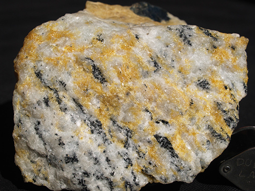 %_tempFileName0638_Cancrinite_Litchfield_MA%