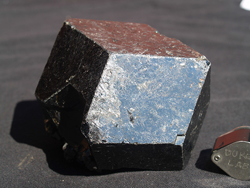 %_tempFileName0650_Garnet_CercieduNioro_Mali%