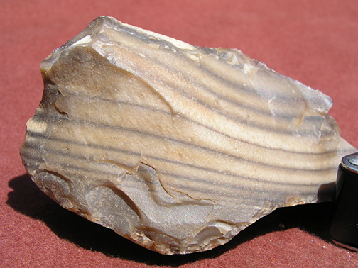 %_tempFileName0721_Tiger-Jasper%