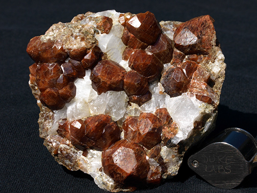 %_tempFileName0965_Garnet_pershingCo_NV%