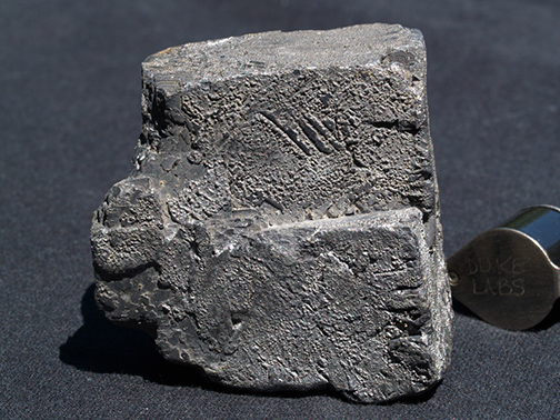 %_tempFileName1007a_Galena_Joplin_MO_USA%