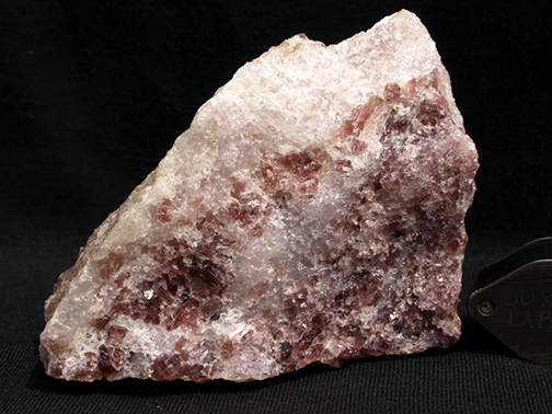 %_tempFileName1062a_Tremolite%20var%20Hexagonite_GouverneurTalcMine_Balmat_NY_USA%