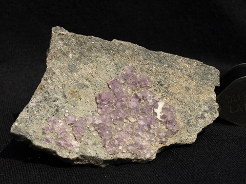 %_tempFileName1076a_Fluorite,%20Quartz_ThomastonDam_Thomaston_CT_USA%