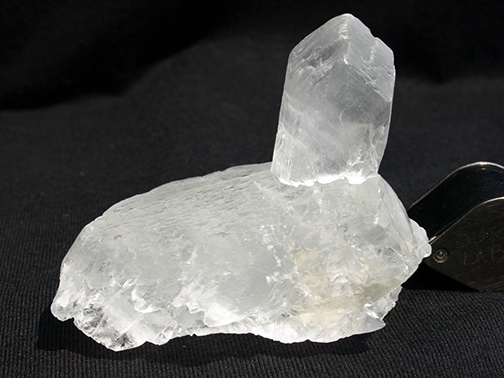 %_tempFileName1121a_Selenite%20var%20Fishtail_Chihuahua_Mexico%