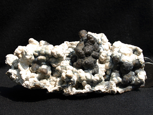 %_tempFileName1124a_Coral_TampaBay_FL_USA%