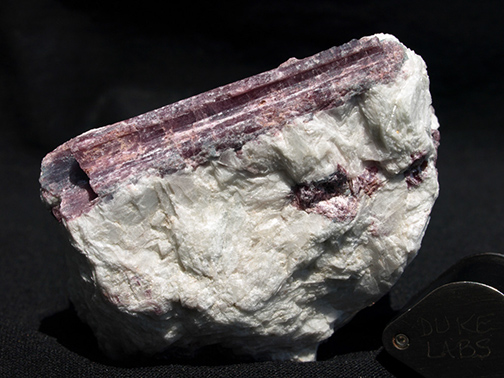 %_tempFileName1184a_Tourmaline%20var%20Rubellite,%20Lepidolite_Paraiba_Brazil%