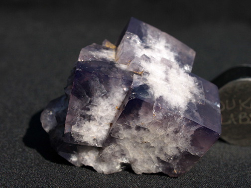 %_tempFileName1197a_Fluorite_Melchor_Musquiz_Coahila_Mexico%