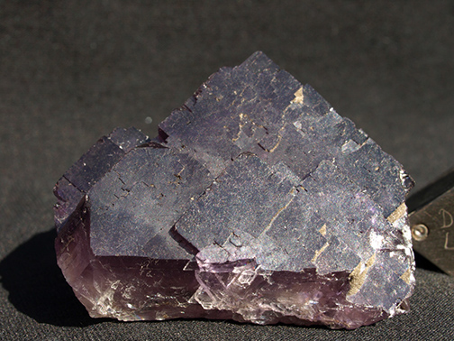 %_tempFileName1270a_Fluorite_Melchor_Muzquiz_Coahuila_Mexico%