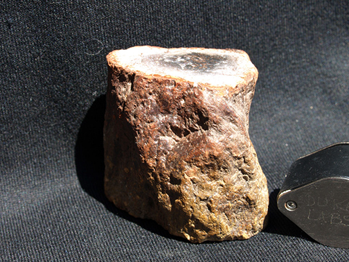 %_tempFileName1504a_Petrified%20Wood_Morocco%