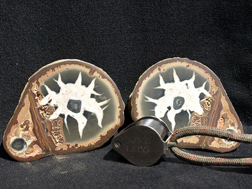 %_tempFileName1558a_Septarian%20Nodule_Morocco%