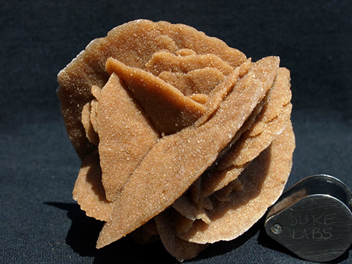 %_tempFileName1698a_Selenite%20Rose_Morocco%