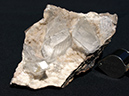 %_tempFileName0012_Selenite_Naica_Mexico%