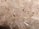 %_tempFileName0034a_Vanadinite_San%20Carlos_Mexico%