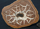 %_tempFileName0393_Septarian_Morocco%