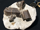 %_tempFileName0395_Staurolite_Keirwy_Kola_Russia%