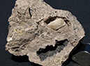 %_tempFileName0472_Dolomite_Middleville_NY%