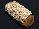 %_tempFileName0477a_PetrifiedWood_Madagascar%