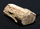 %_tempFileName0910_PetrifiedWood_Madagascar%