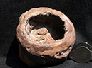 %_tempFileName1148a_Hematite%20Concretion_Caumsett_NY_USA%