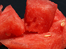 %_tempFileName1705-1_Watermelonite_Westbury_NY_USA%