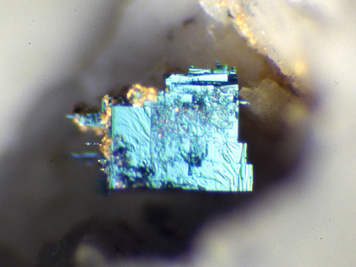 %_tempFileNameCobaltite_WheatleyXPhoenixvillePACrop%