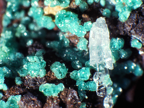 %_tempFileNameCuproaustiniteConichalciteHemimorphite_MapimiDurangoMexicoCrop%