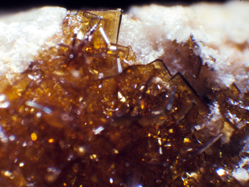 %_tempFileNameDescloisite_TroyXPinalCoAZCrop%