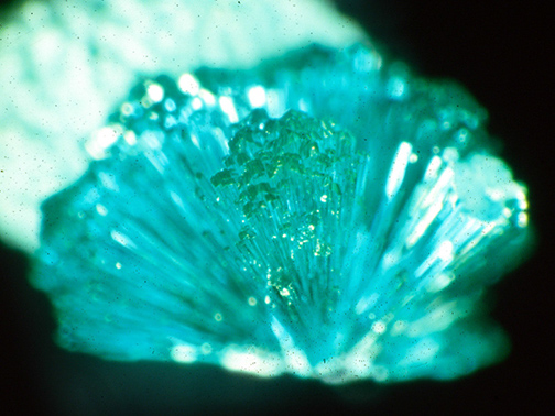 %_tempFileNameDioptase_XmasXGilaCoAZCrop%