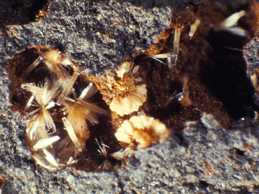 %_tempFileNameErionitePhillipsite_RockIsDamWACrop%