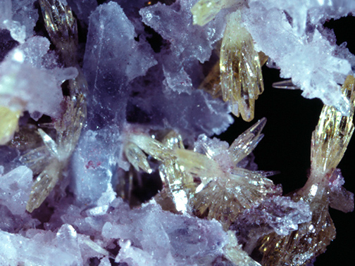 %_tempFileNameMimetite_TsumebSWACrop%