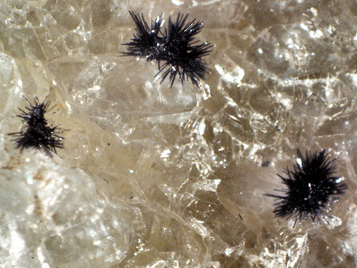 %_tempFileNameRamsdellite2_MGBrazilCrop%