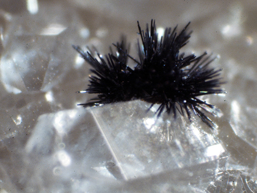 %_tempFileNameRamsdellite_MGBrazilCrop%