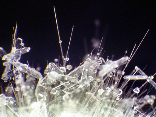 %_tempFileNameStilbiteByssolite_FortLeeNJCrop%