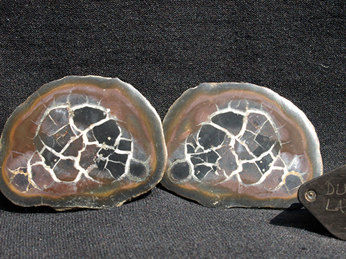 %_tempFileName2821a_Septarian%20Agate_Morocco%