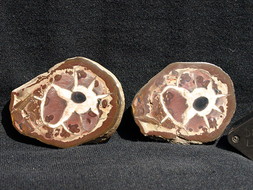 %_tempFileName2822_Septarian%20Agate_Morocco%