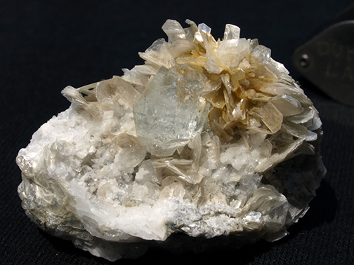 %_tempFileName3139a_Beryl_Sichuan_China%