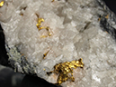 %_tempFileName2177-1_Gold,%20Quartz_OldJubileeMine_Dayleford_Victoria_Australia%