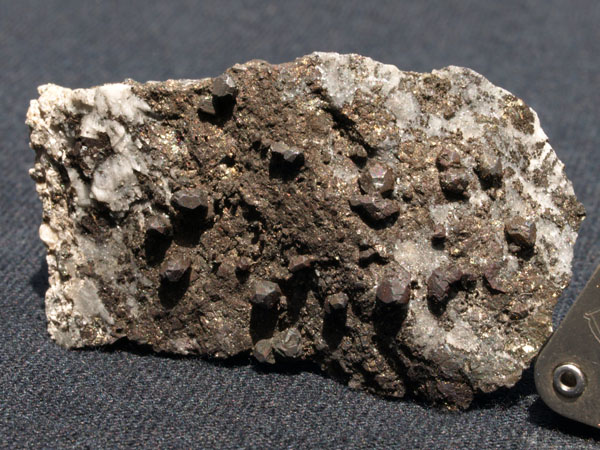2136a_Chalcocite_State Vein_Butte_MT