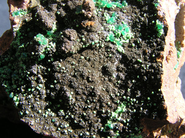 2184c_Adamite_Mexico