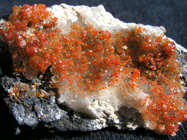 2195c_Vanadinite_ApacheMine_Superior_AZ